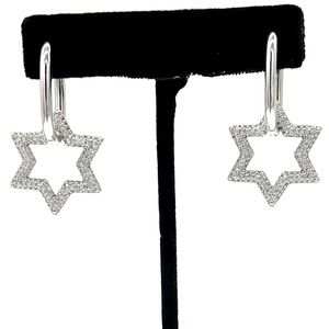 Rhinestone Pave Crystal Drop Earrings